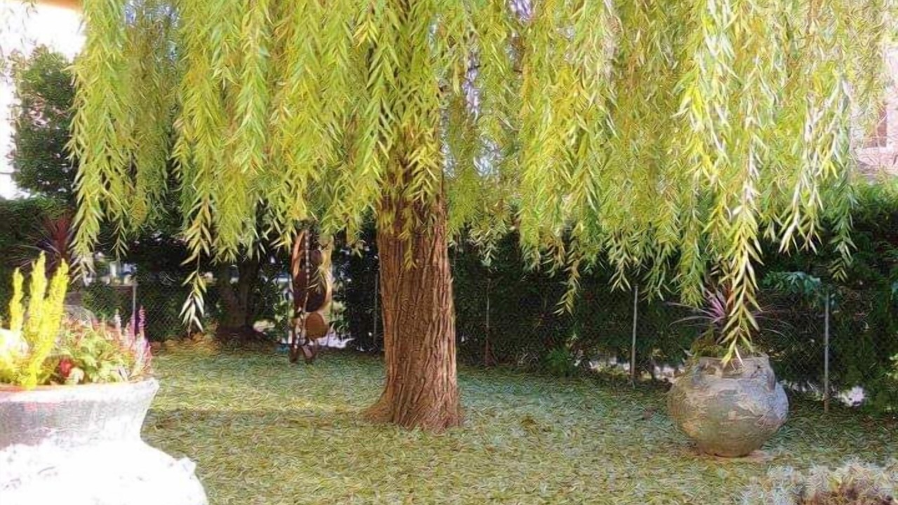Photo of Outdoor in Plan-les-Ouates