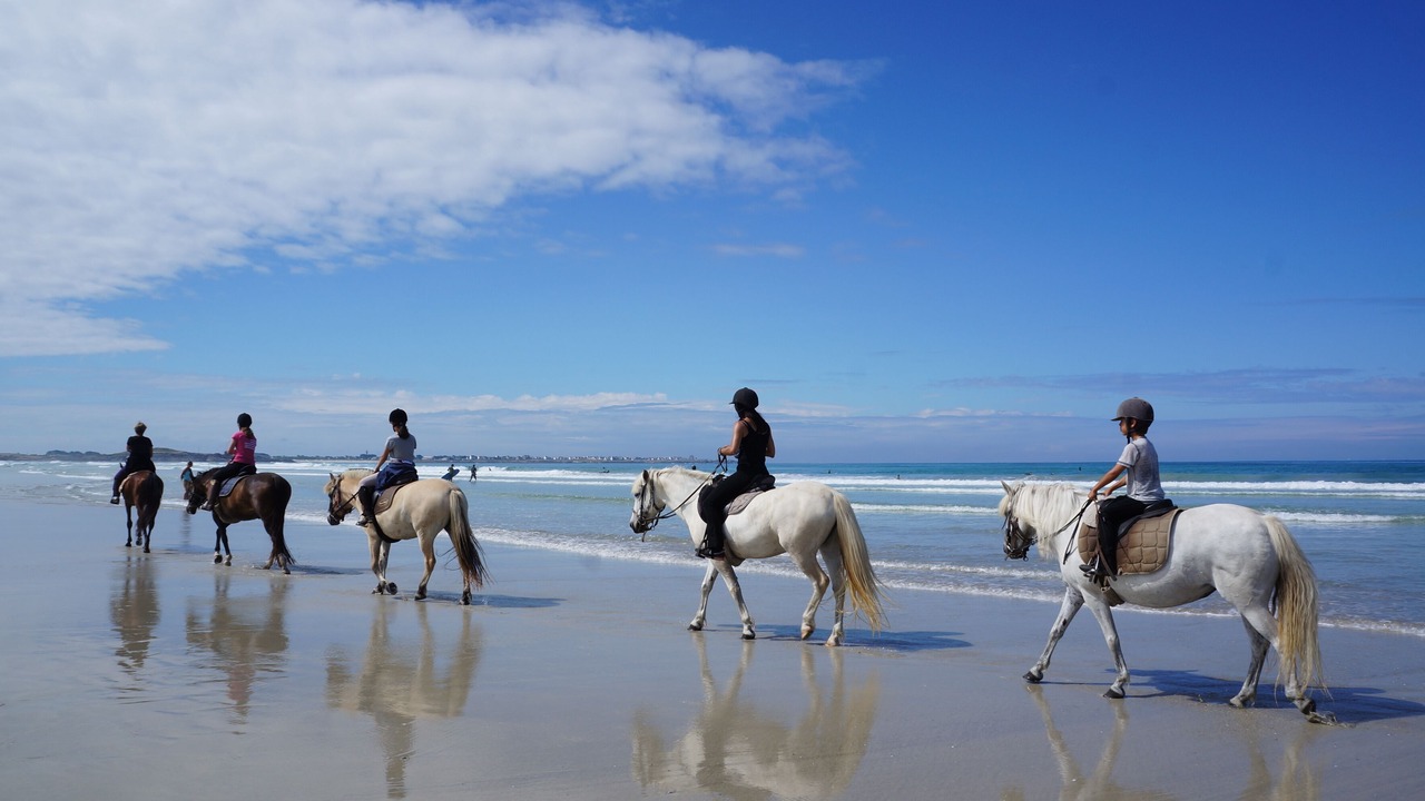 Photo of Others in Pont-l'Abbe