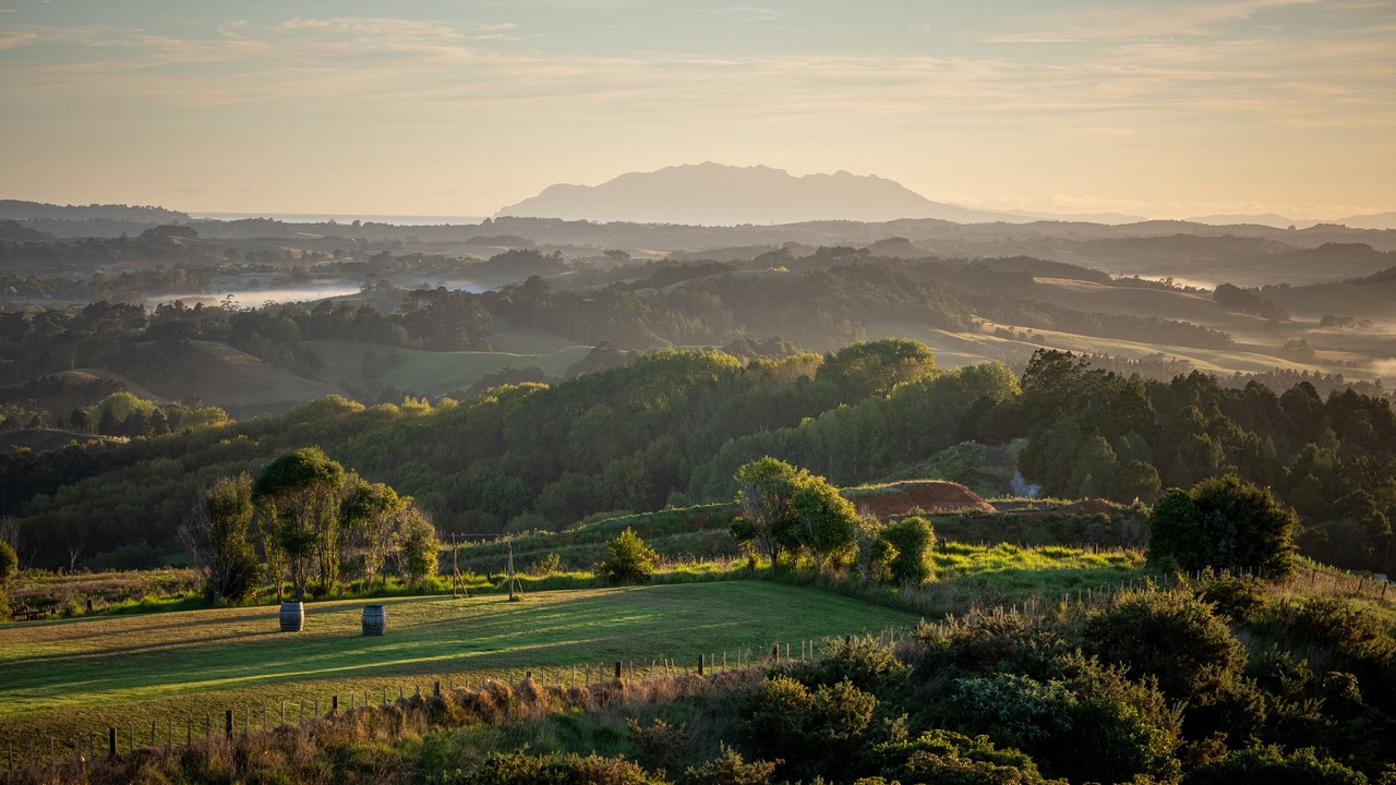 Photo of Others in Warkworth