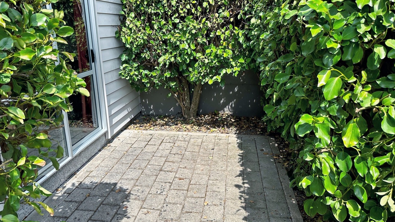 Photo of Others in Palmerston North