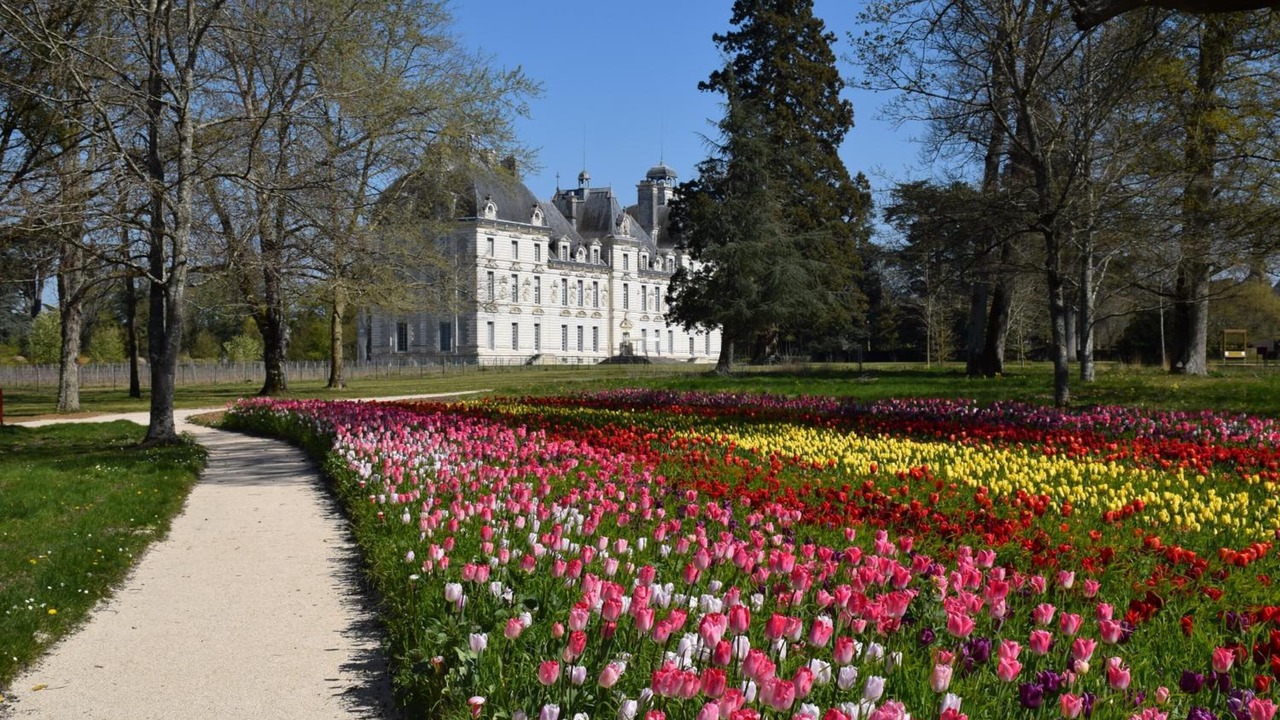 Photo of Outdoor in Bracieux