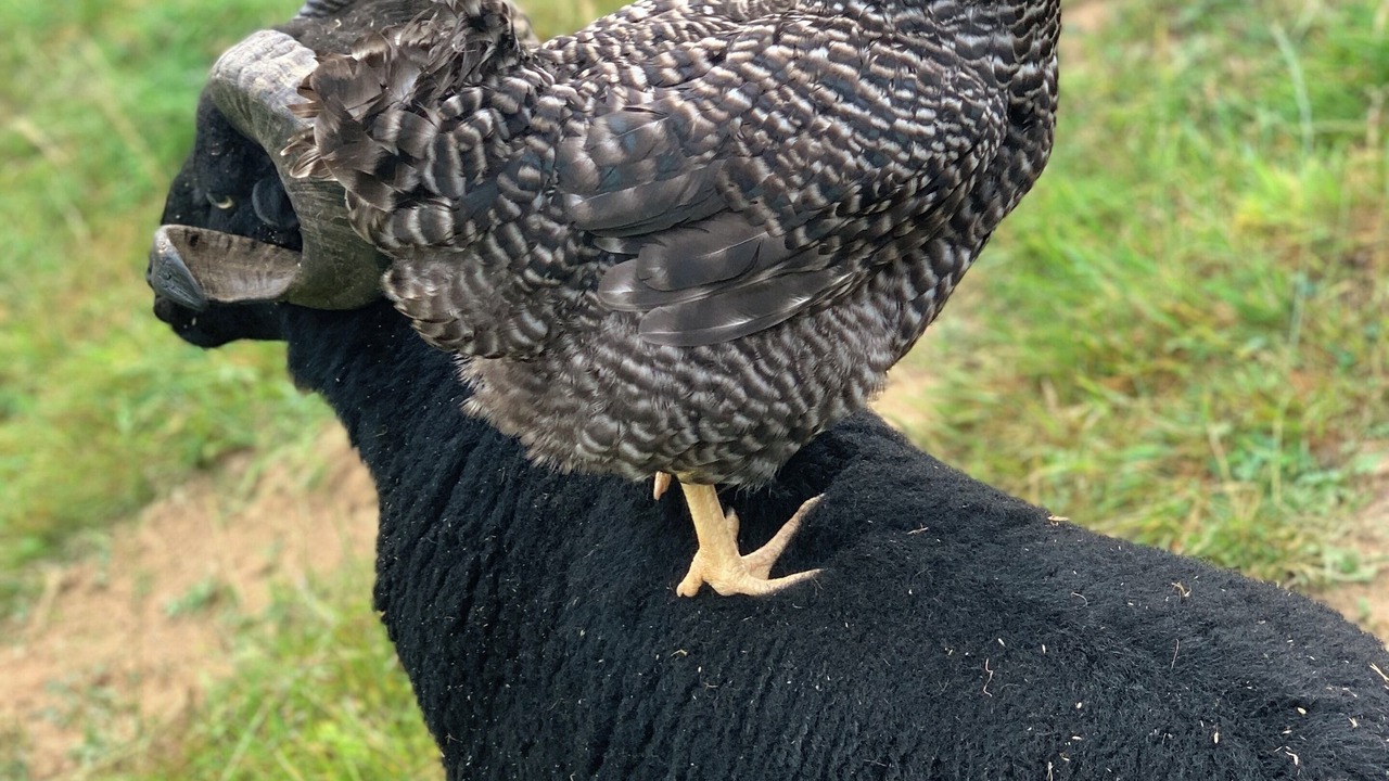 Photo of Outdoor in Sainte-Eulalie-d'Olt