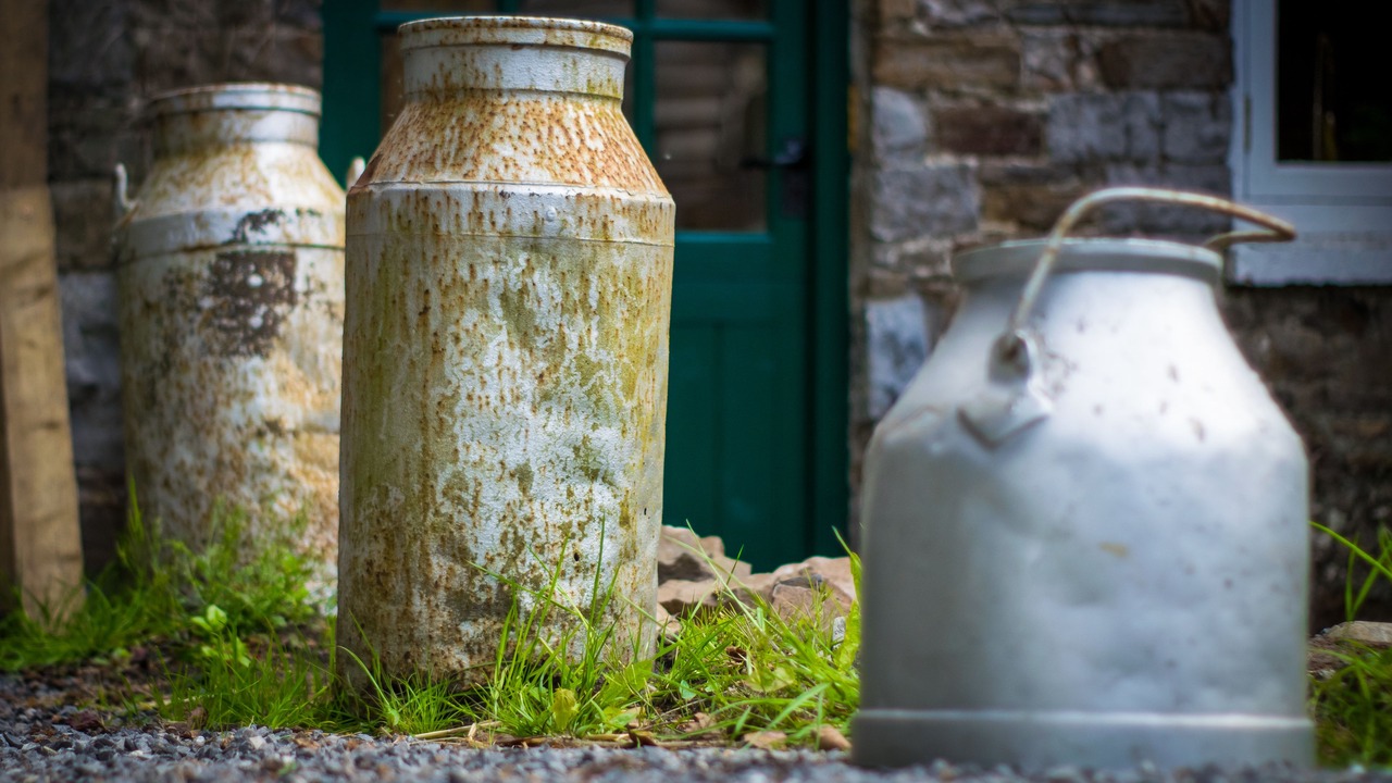 Photo of Outdoor in Ammanford