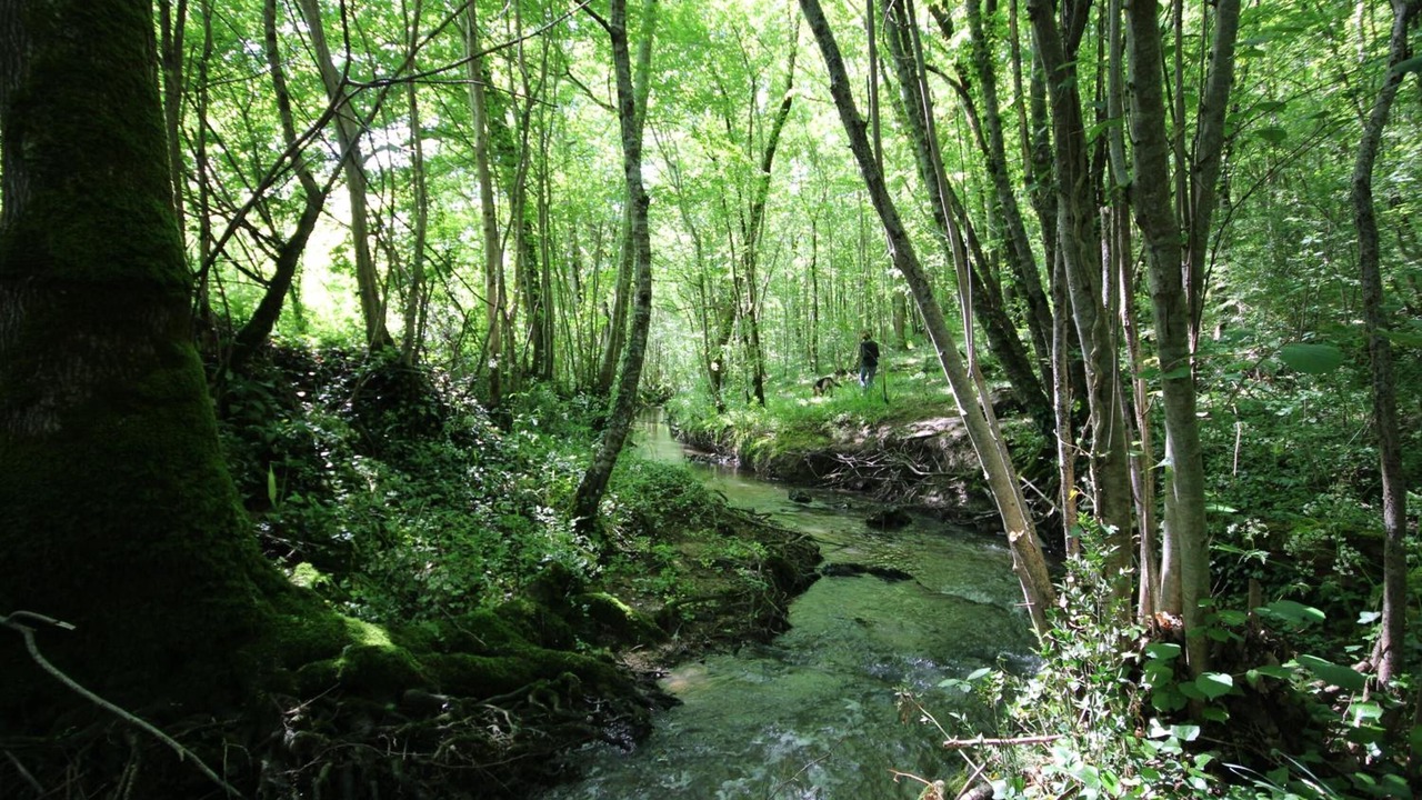 Photo of Outdoor in Sainte-Sabine-Born