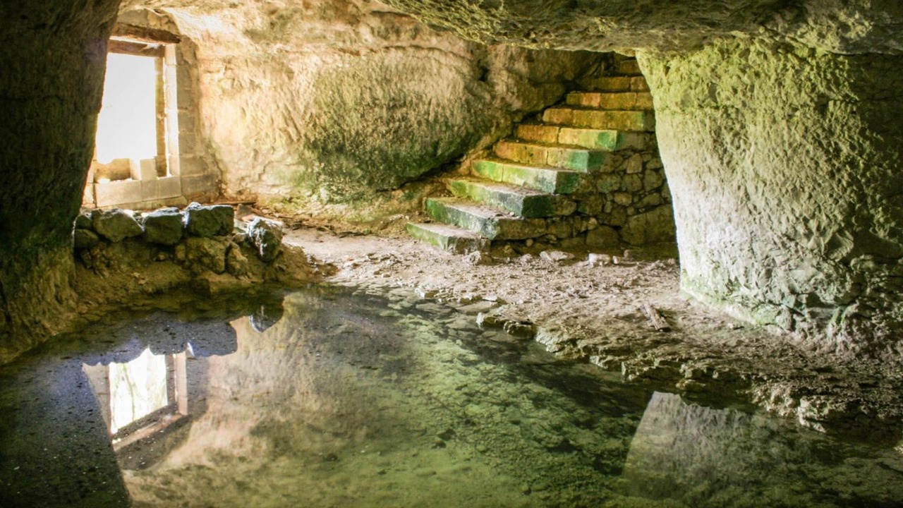 Photo of Outdoor in Sainte-Sabine-Born