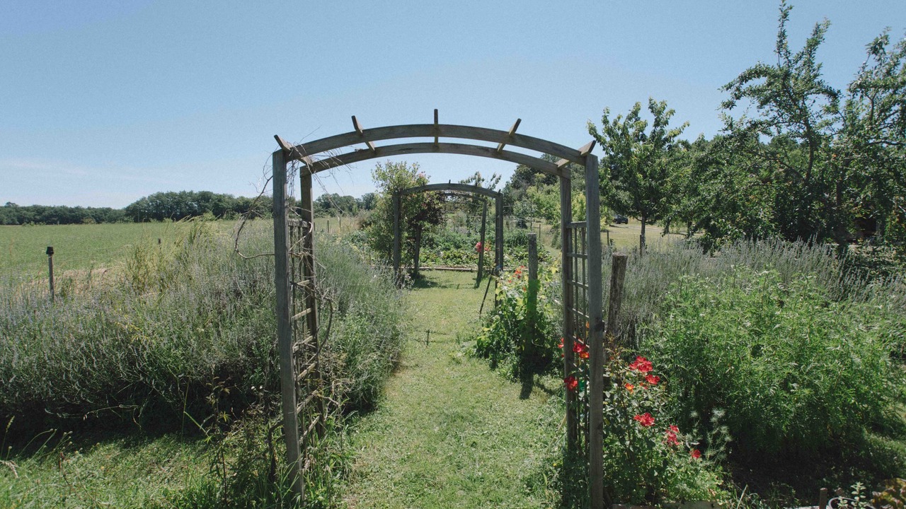 Photo of Outdoor in Sainte-Sabine-Born