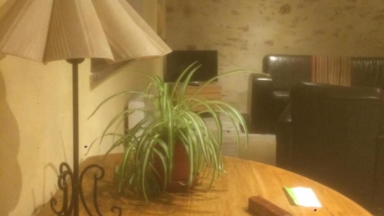 Photo of Others in Logonna-Daoulas