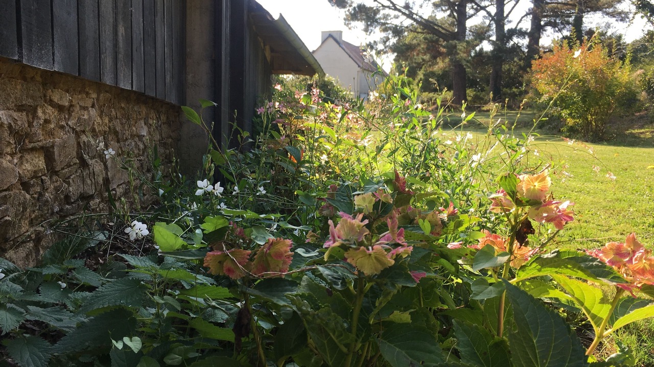 Photo of Outdoor in Logonna-Daoulas