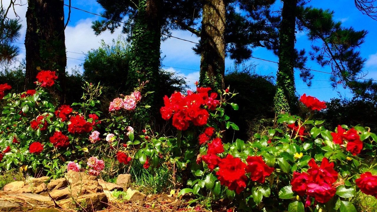 Photo of Outdoor in Logonna-Daoulas