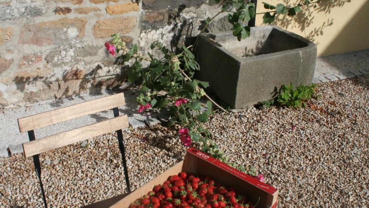 Photo of Others in Logonna-Daoulas