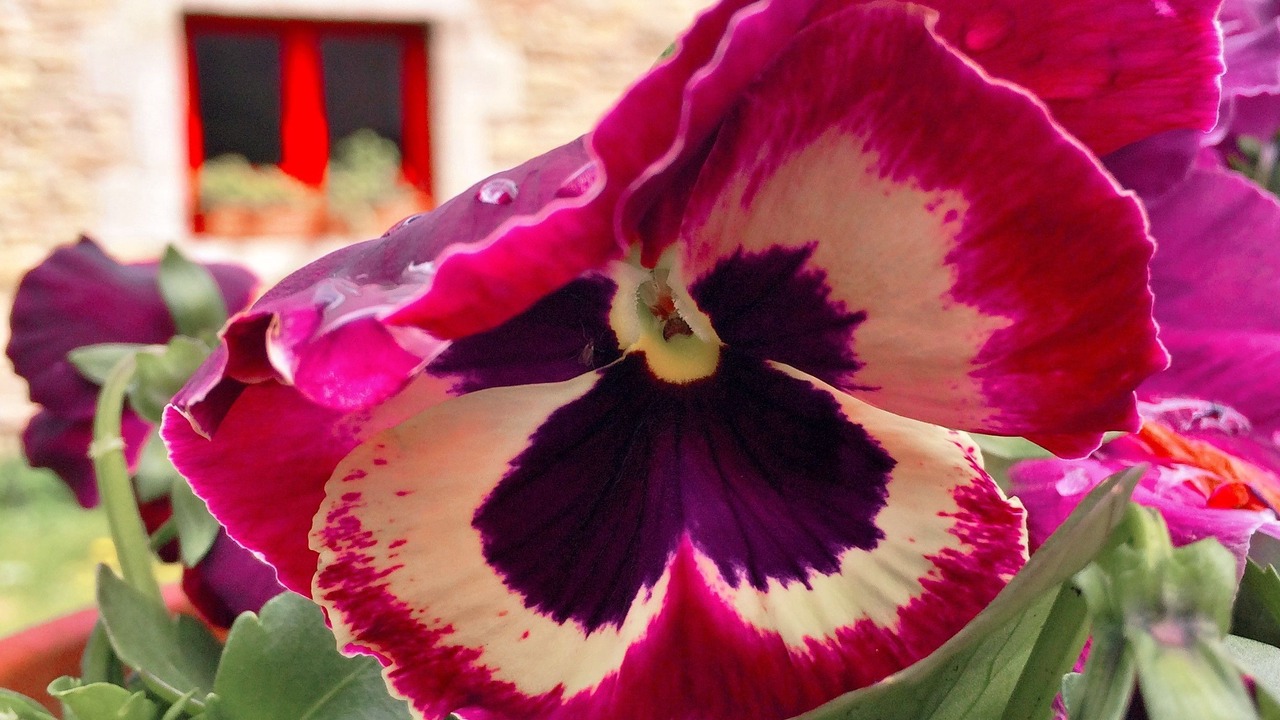 Photo of Outdoor in Logonna-Daoulas