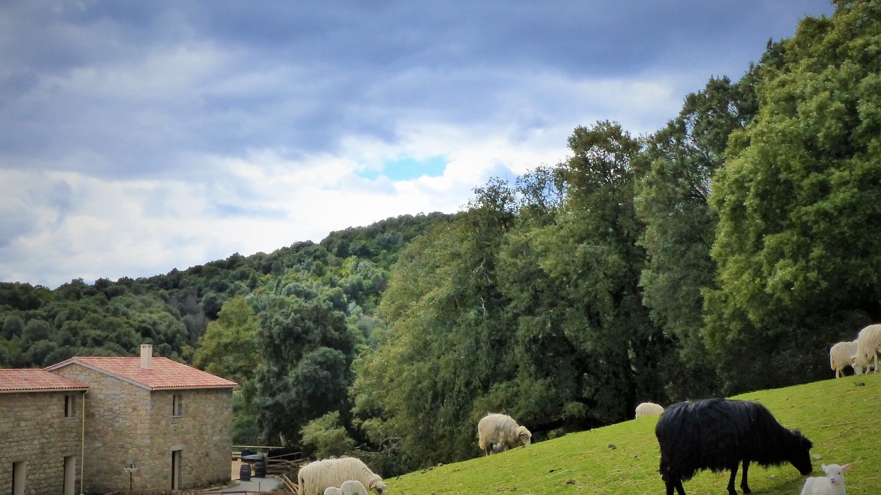 Photo of Outdoor in Guitera-les-Baines