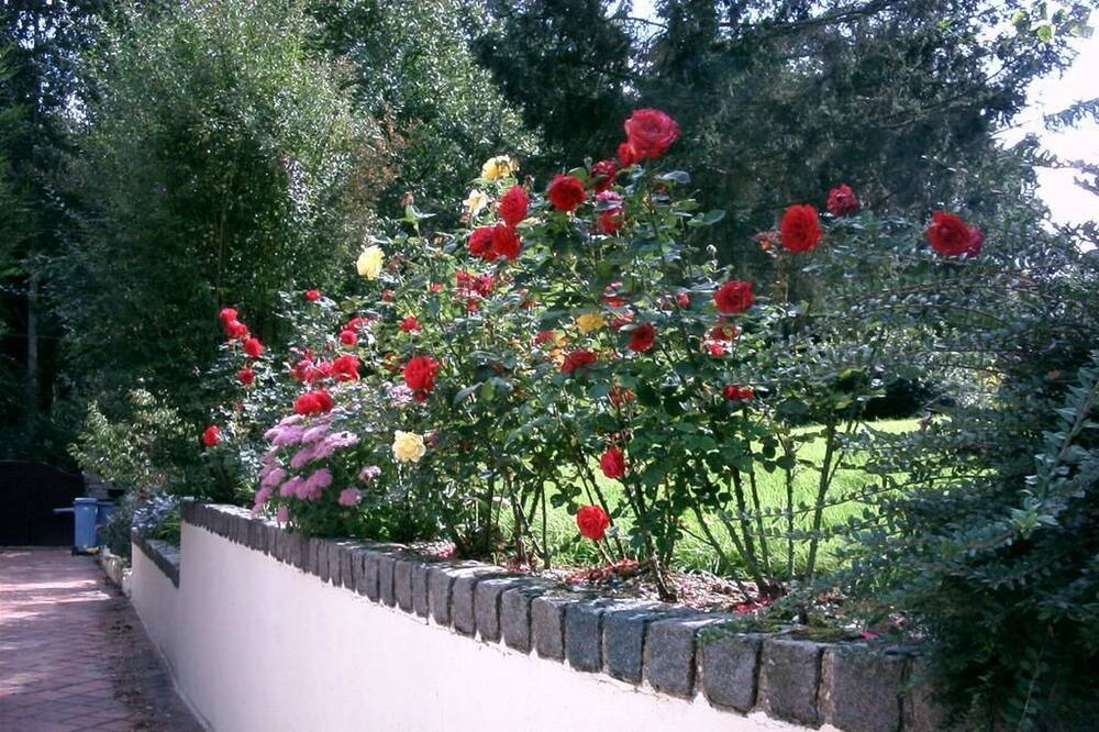 Photo of Outdoor in Auneuil