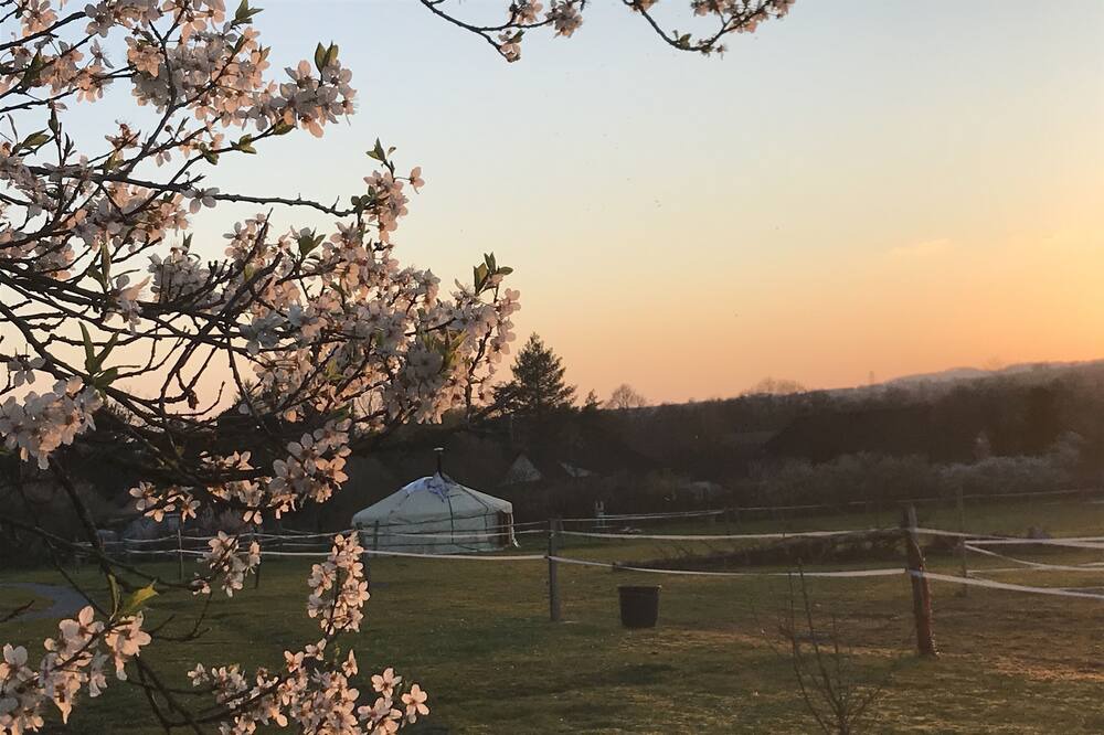 Photo of Outdoor in Saint-Leger-sur-Dheune