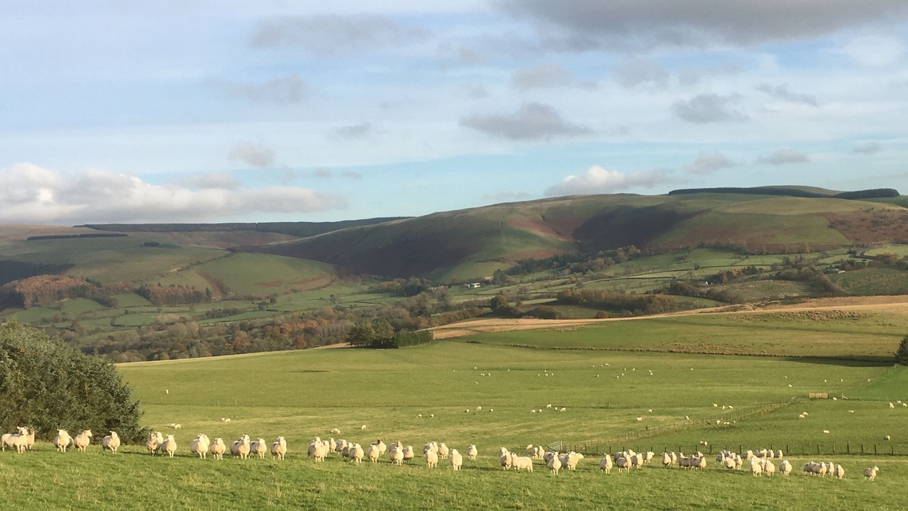 Photo of Others in Tirabad