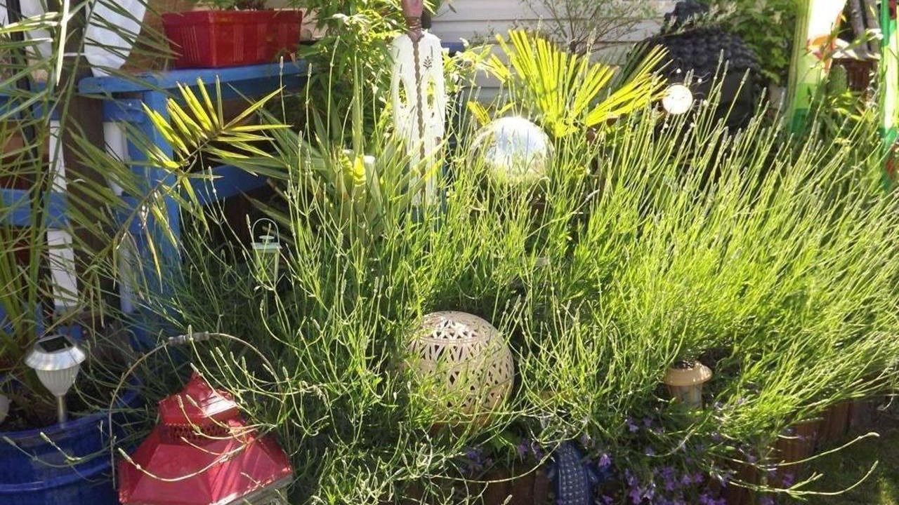 Photo of Outdoor in Souvans