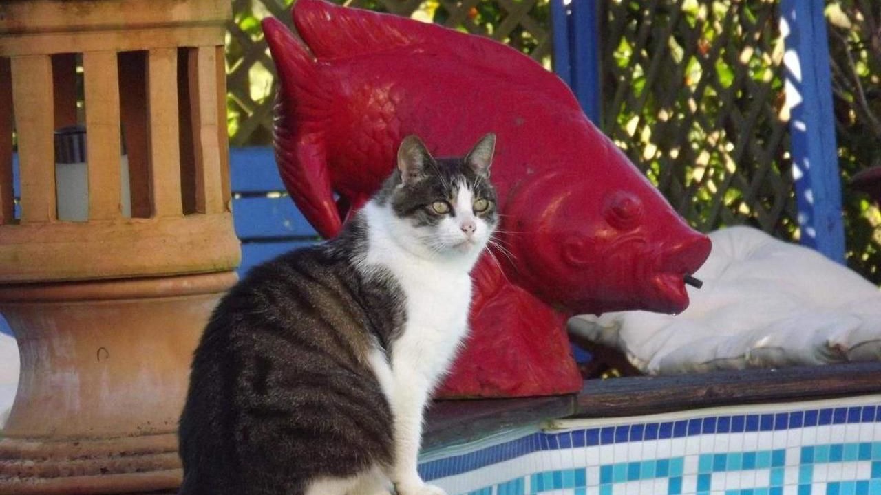 Photo of Others in Souvans