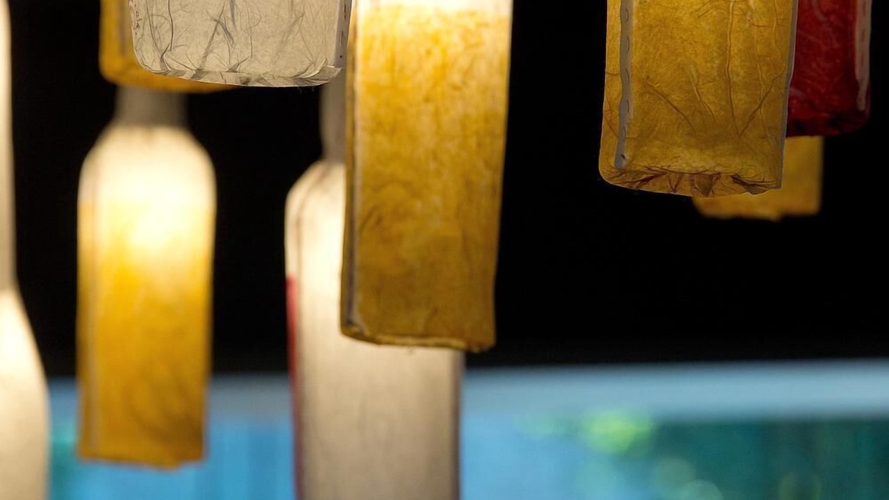 Photo of Others in Sancerre