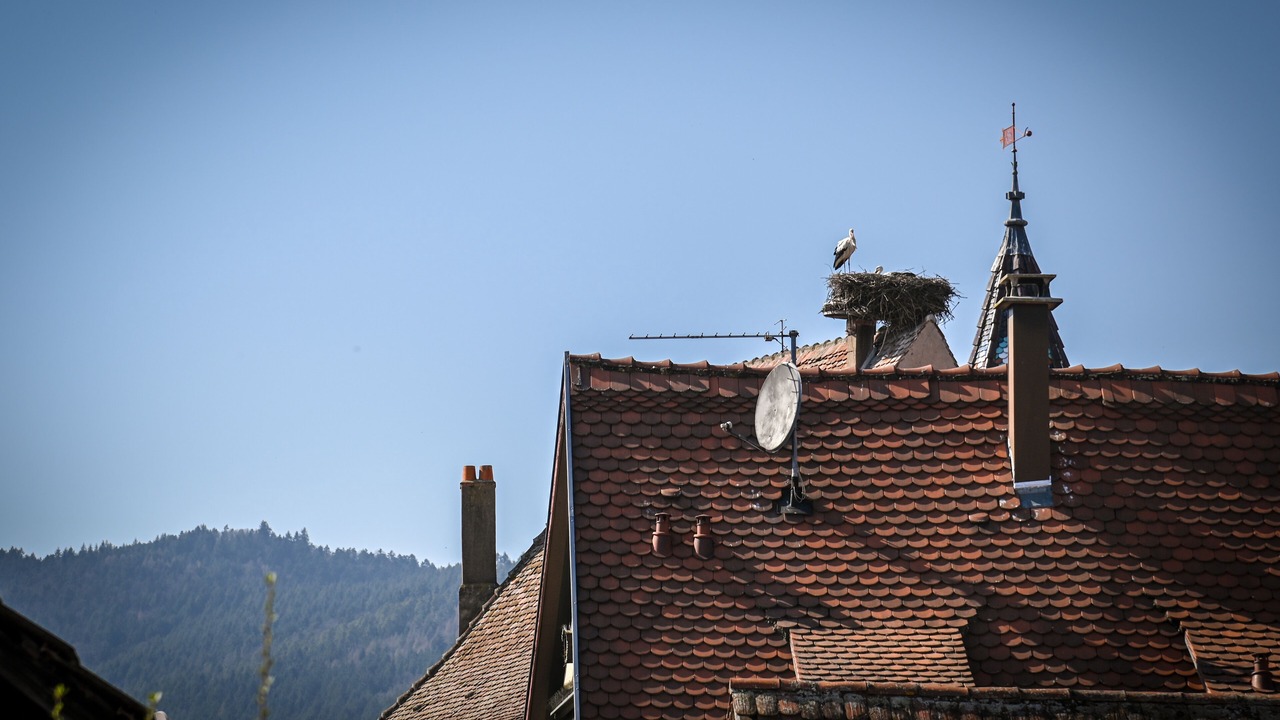 Photo of Outdoor in Eguisheim