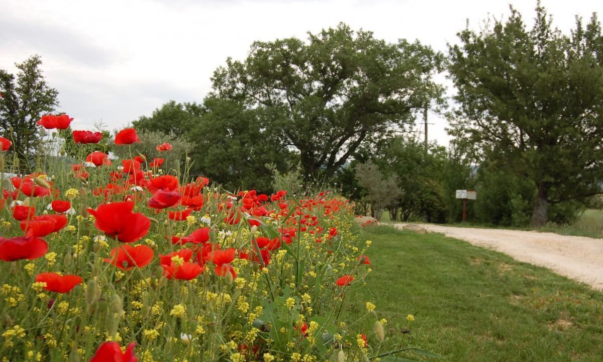 Photo of Outdoor in Bessas