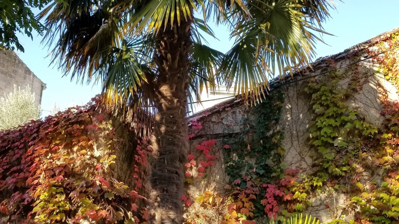 Photo of Others in Blaye