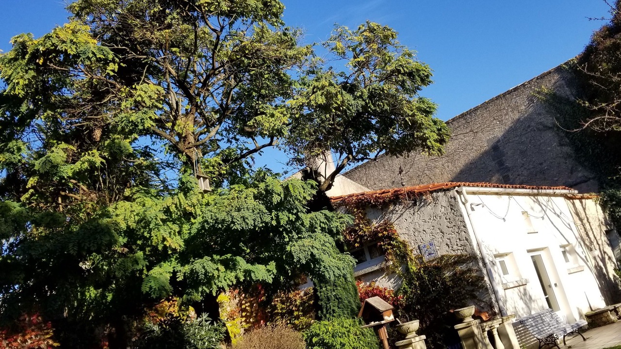 Photo of Outdoor in Blaye