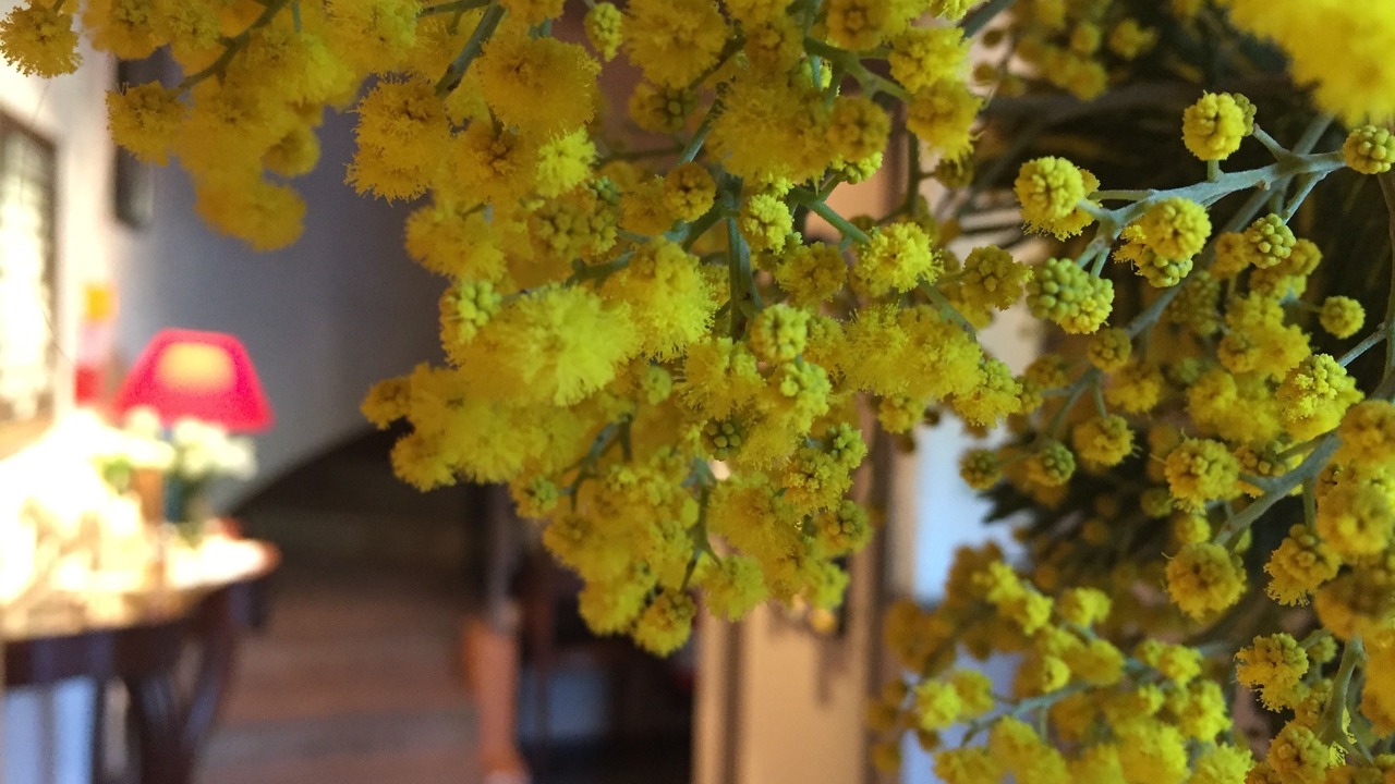 Photo of Others in Antibes Old Town