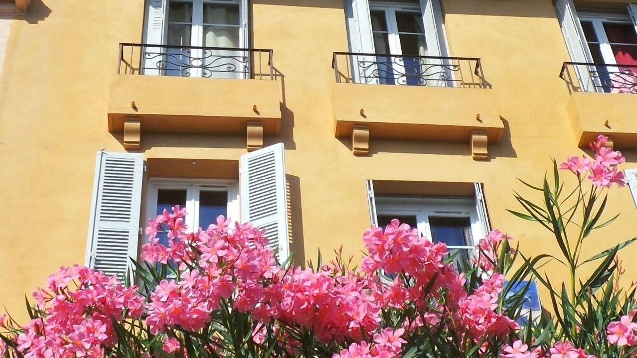 Photo of Outdoor in Antibes Old Town