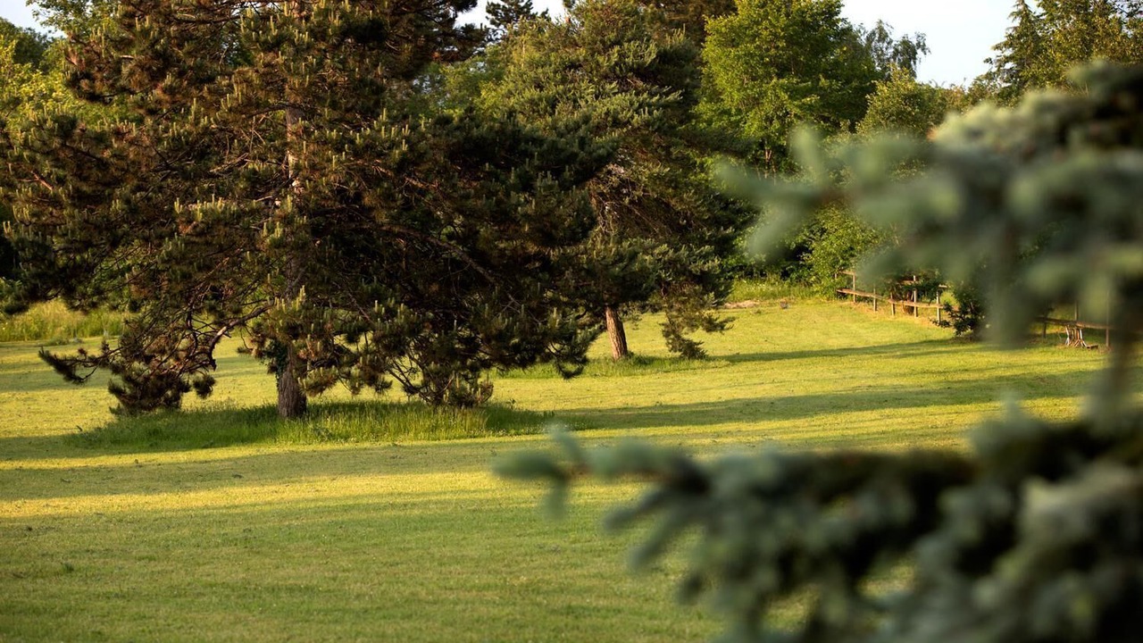 Photo of Others in Pichanges