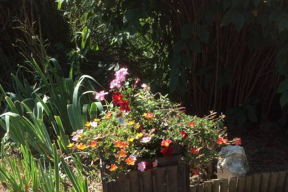 Photo of Outdoor in Saint-Florent-sur-Auzonnet