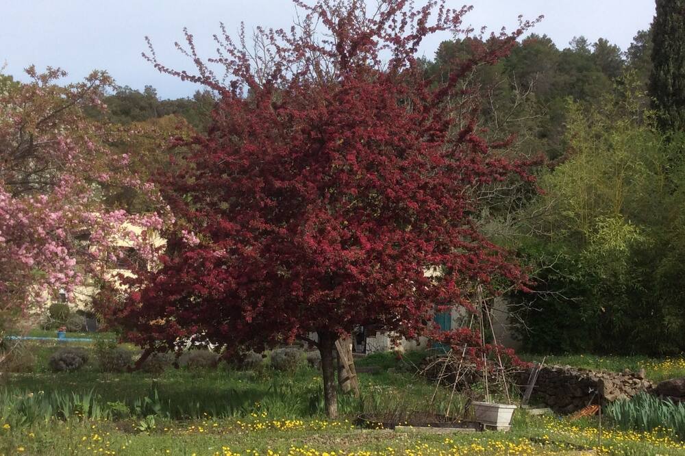 Photo of Outdoor in Saint-Florent-sur-Auzonnet