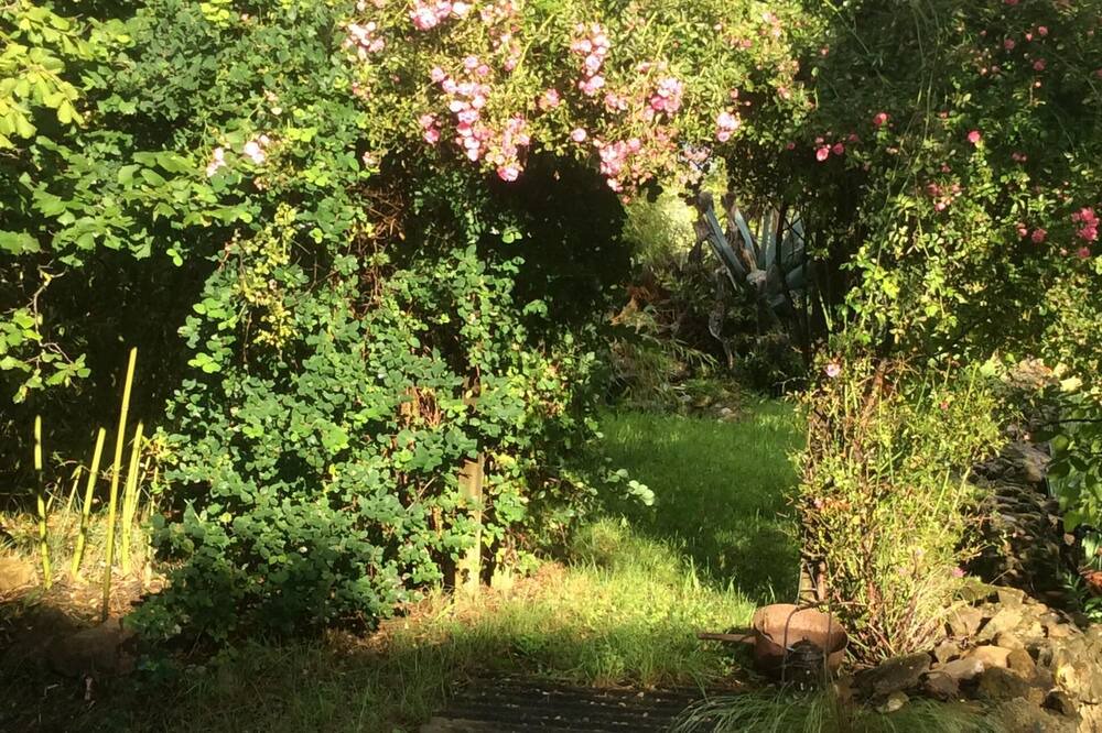 Photo of Outdoor in Saint-Florent-sur-Auzonnet