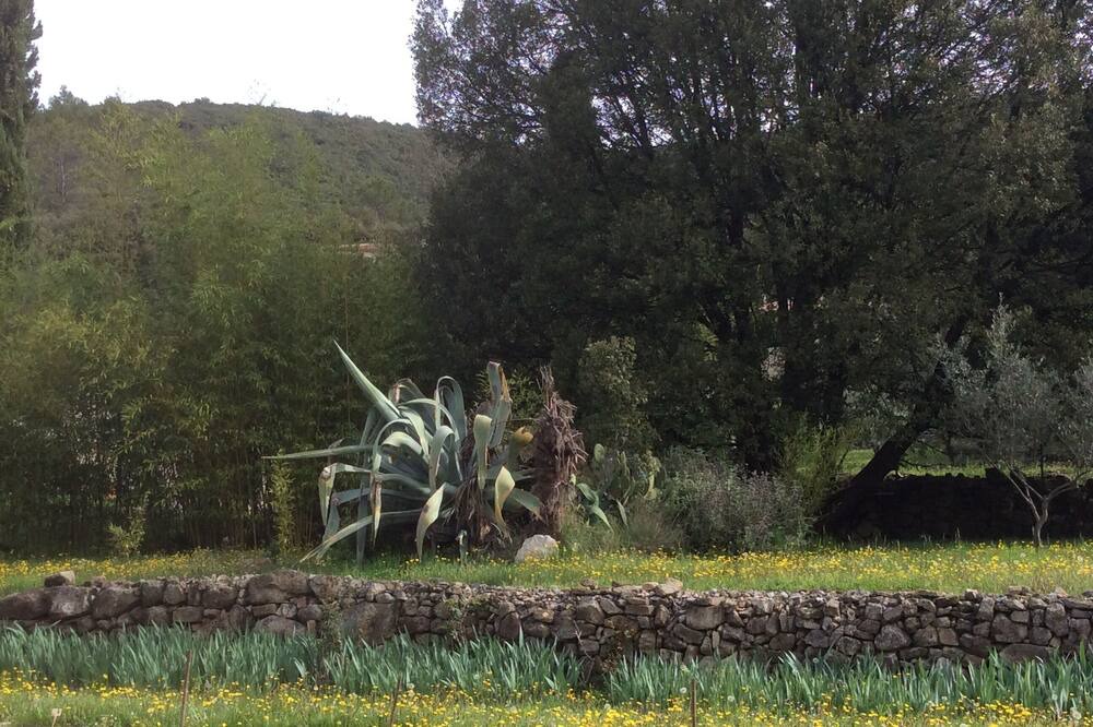 Photo of Outdoor in Saint-Florent-sur-Auzonnet
