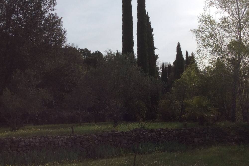 Photo of Outdoor in Saint-Florent-sur-Auzonnet