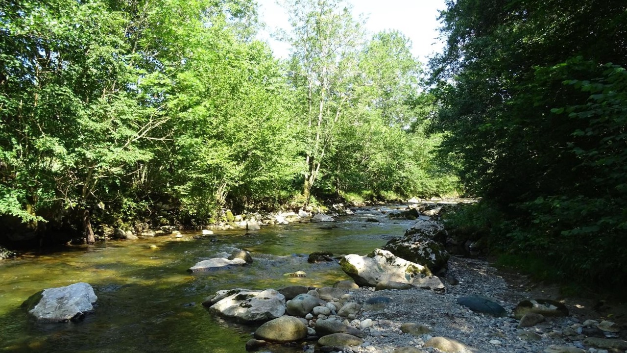 Photo of Outdoor in Massat