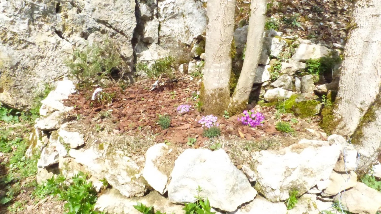 Photo of Outdoor in Massat