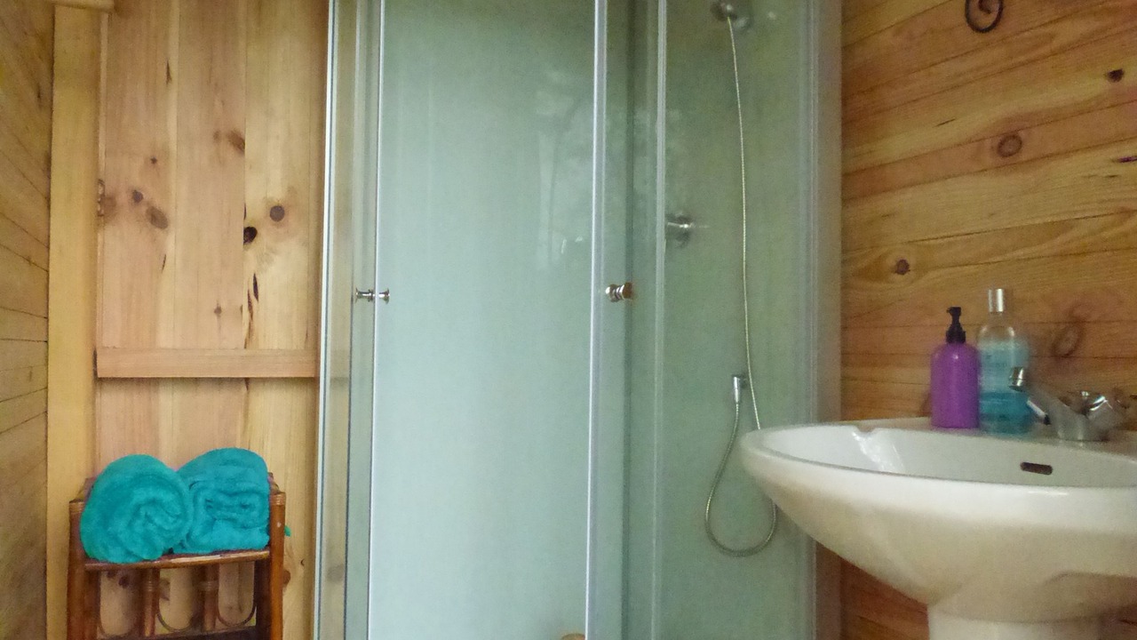 Photo of Bathroom in Massat