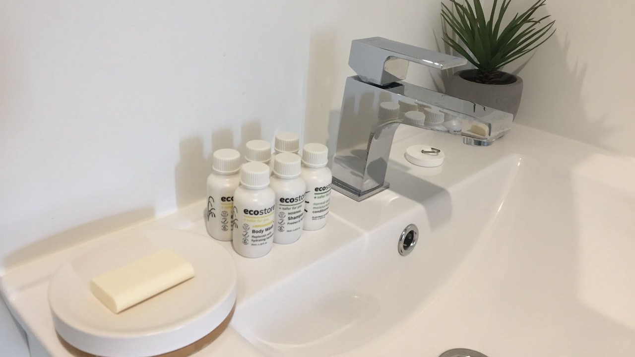 Photo of Bathroom in Hamilton Lake