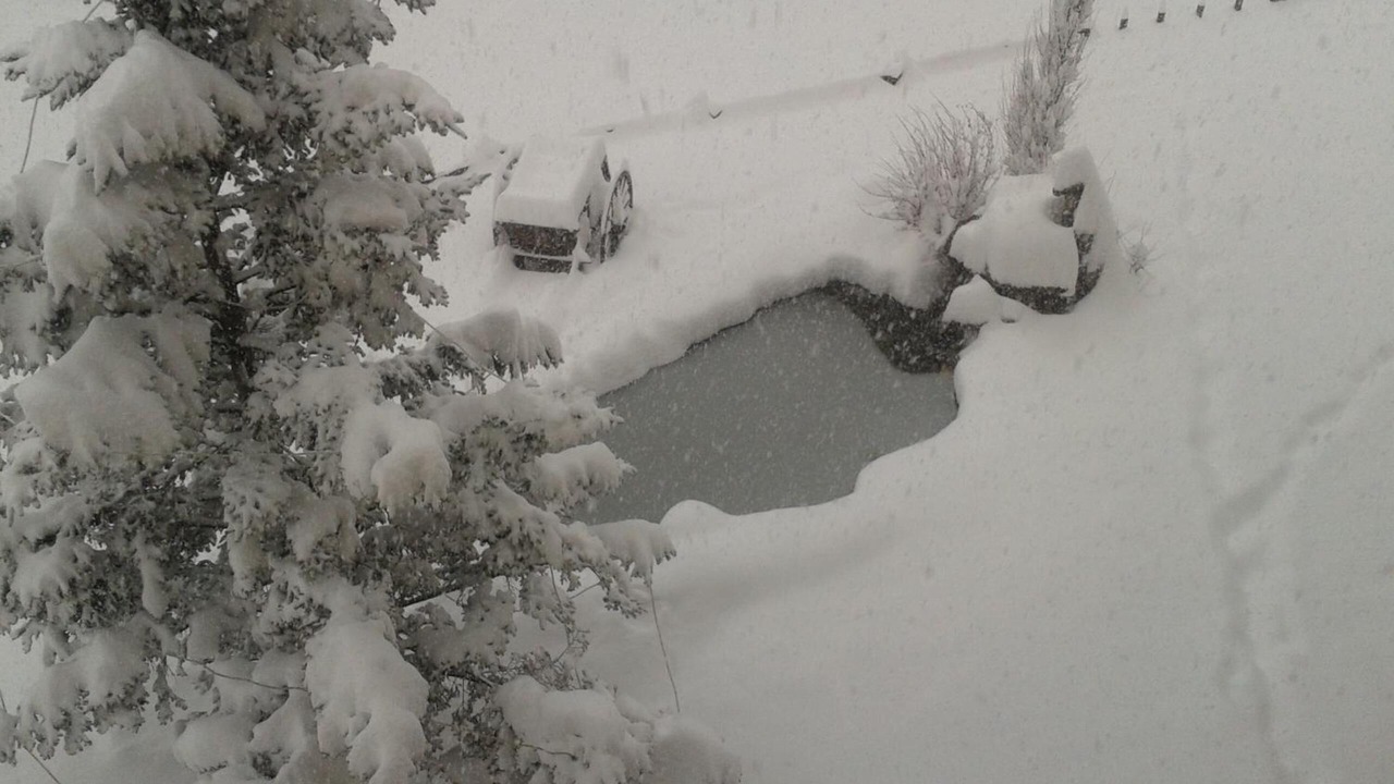 Photo of Outdoor in Espot