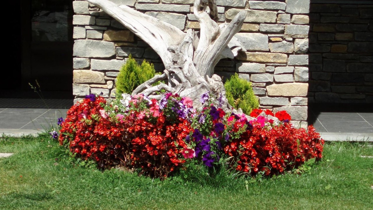 Photo of Outdoor in Espot