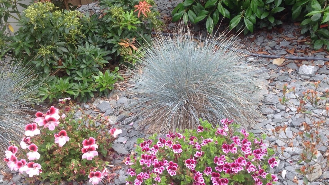 Photo of Outdoor in Saint-Jouan-des-Guerets