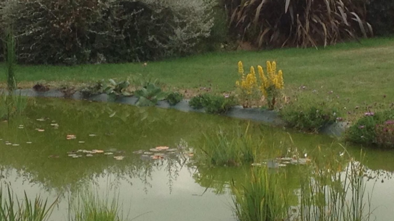 Photo of Outdoor in Saint-Jouan-des-Guerets