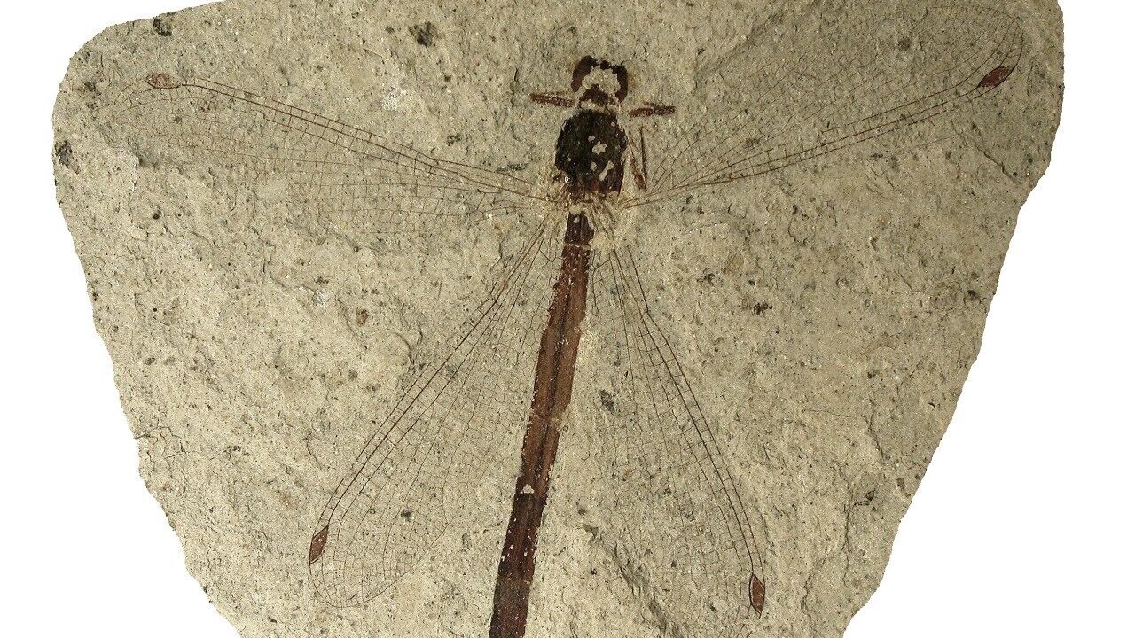 Photo of Others in Nykobing Mors