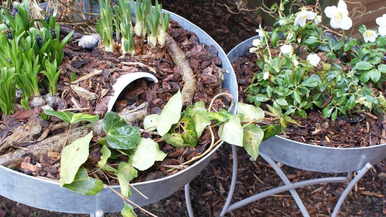 Photo of Outdoor in Nykobing Mors