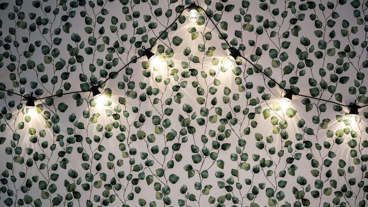 Photo of Others in Oberhaslach