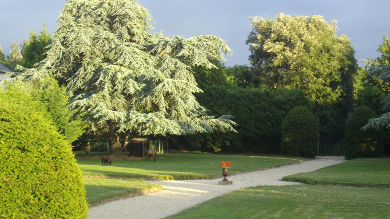 Photo of Outdoor in Le Rosais-La Flourie