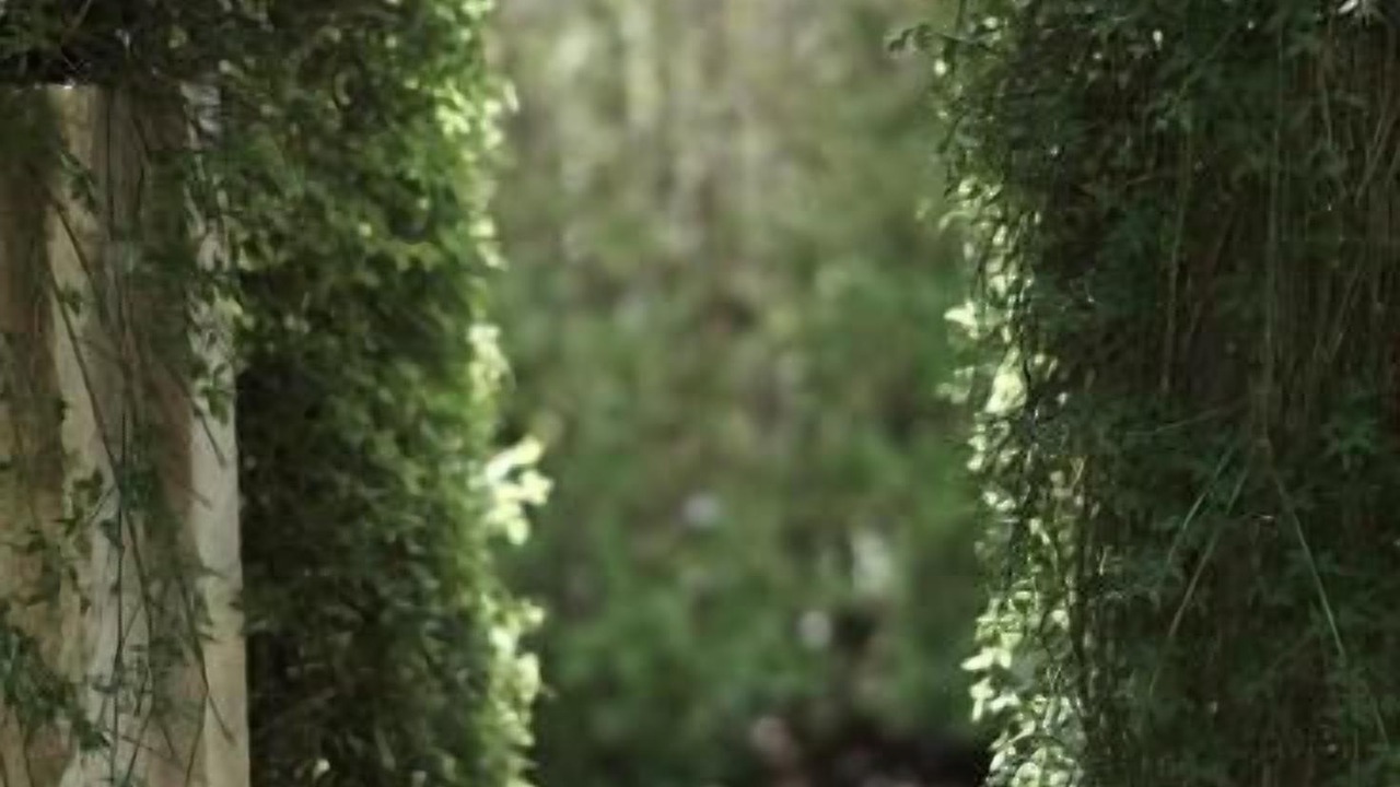 Photo of Outdoor in Pont-de-Barret