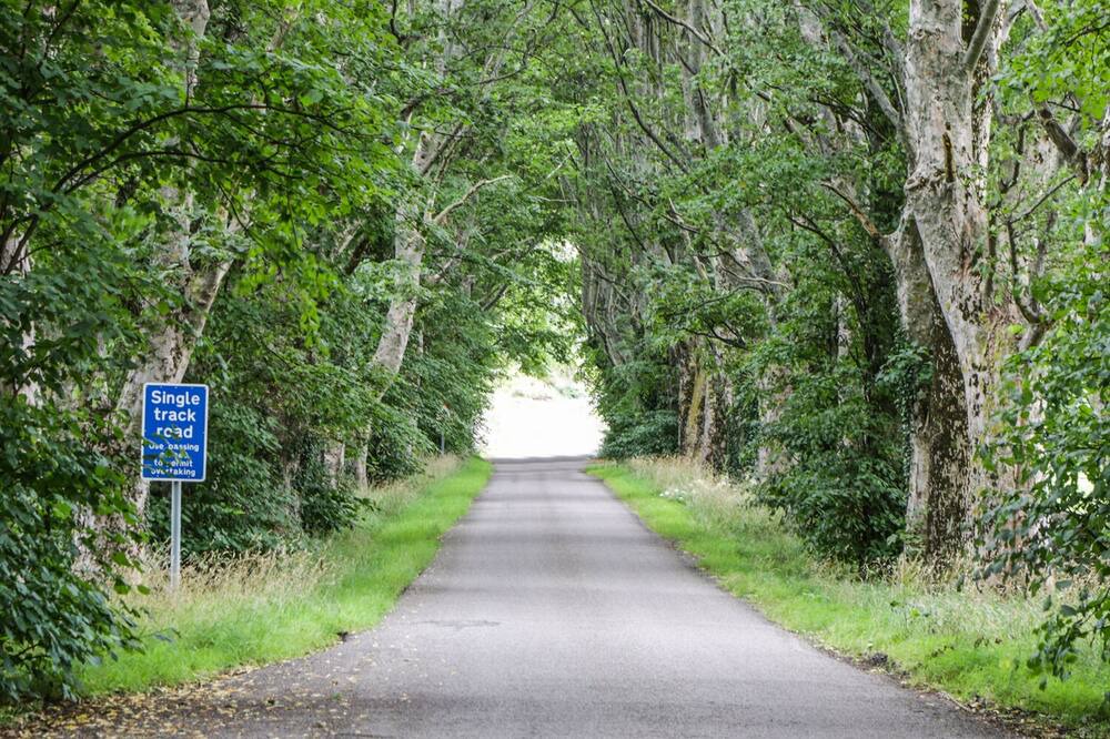 Photo of Others in Loggie