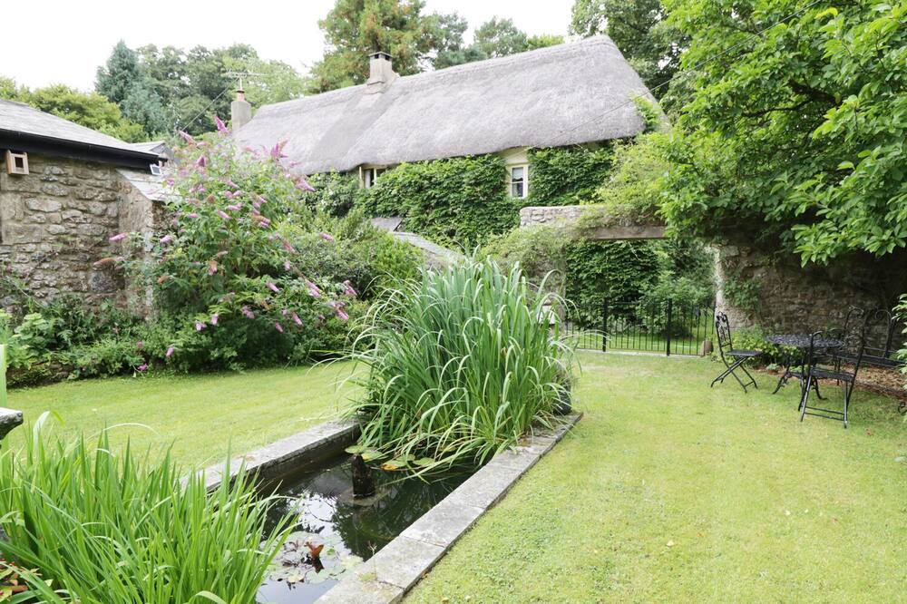 Photo of Outdoor in Heligan