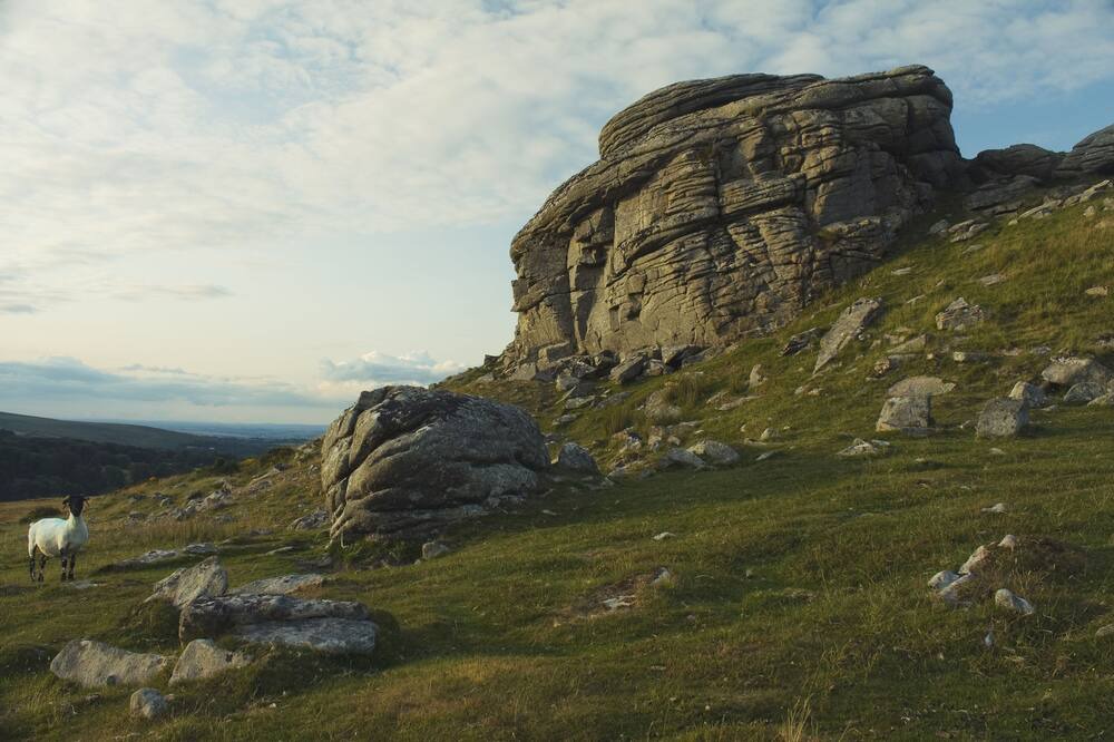 Photo of Outdoor in Heligan